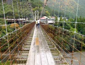 吊り橋 谷瀬 の